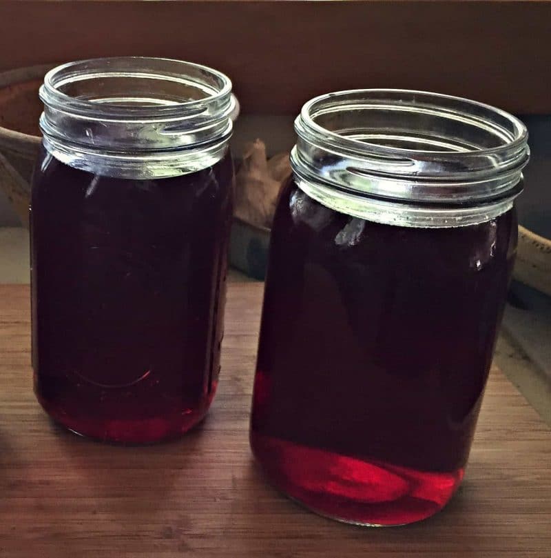 hibiscus tea for kombucha