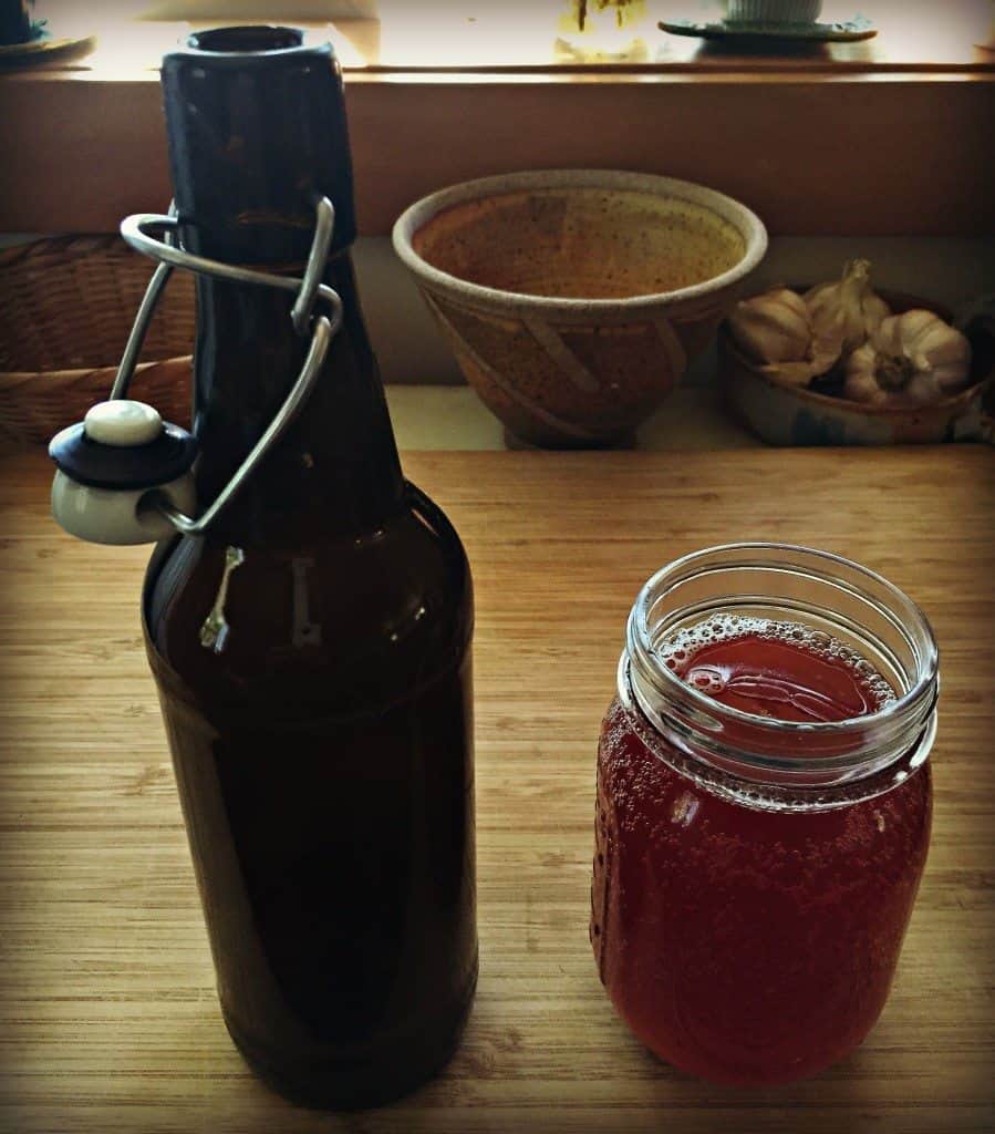 Hibiscus Kombucha