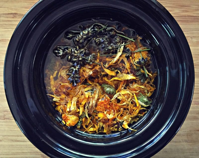 making calendula infused oil in a mini crockpot