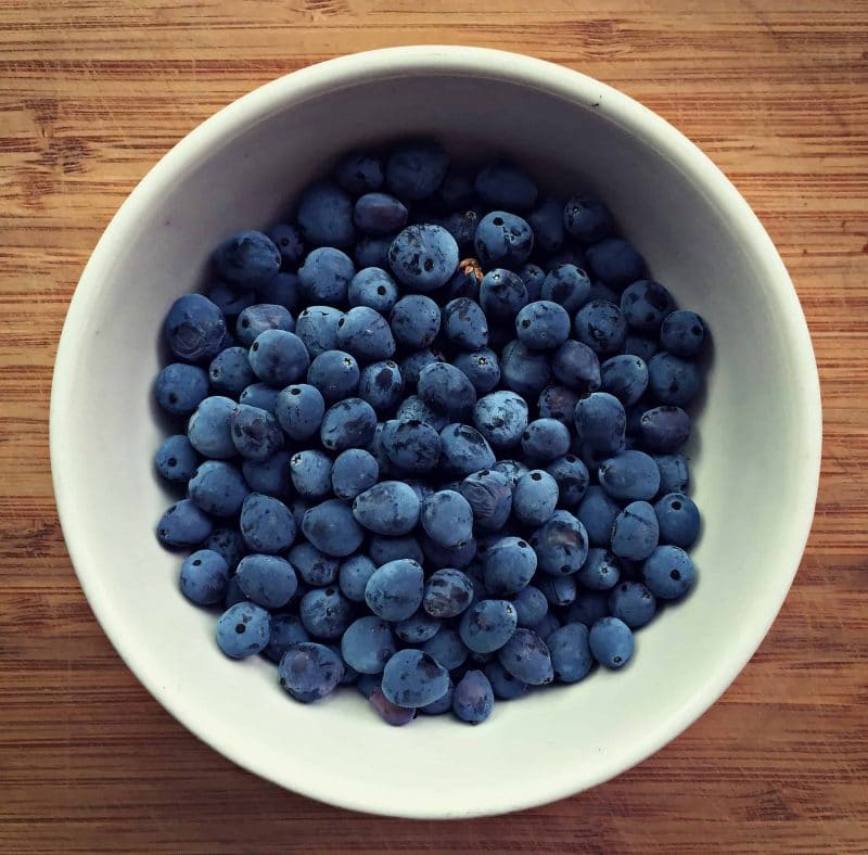 oregon grape berries in a bowl