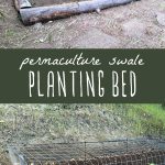 Images showing how to build a permaculture swale planting bed in a backyard garden.