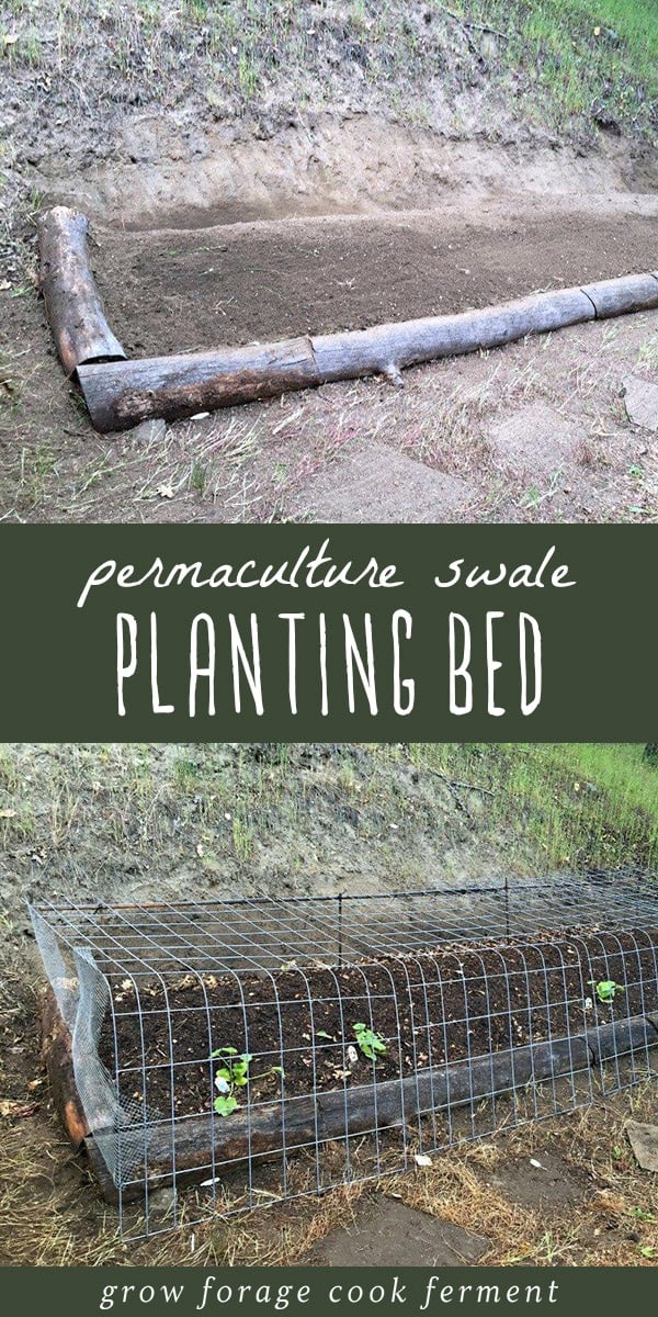 Grow more with less work using permaculture principles! How to build a permaculture swale planting bed. #permaculture #gardening