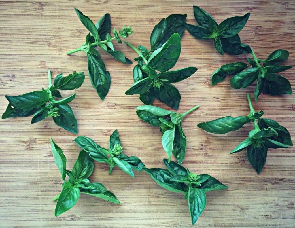 pinched off basil flowers