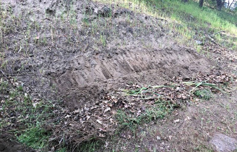 permaculture swale bed