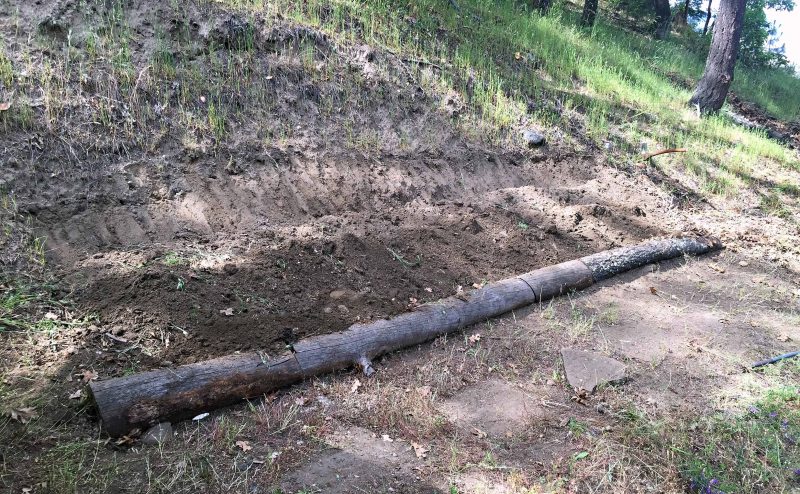 permaculture swale bed