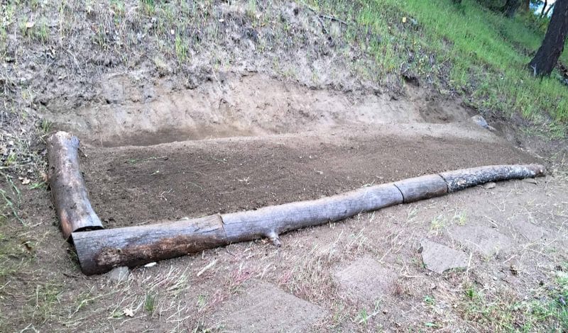 permaculture swale bed