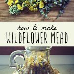 Wildflowers on a cutting board, and a gallon jug of homebrewed wildflower mead.