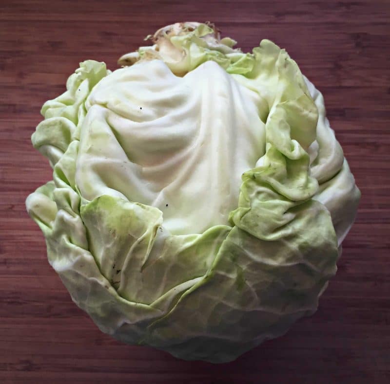 cabbage