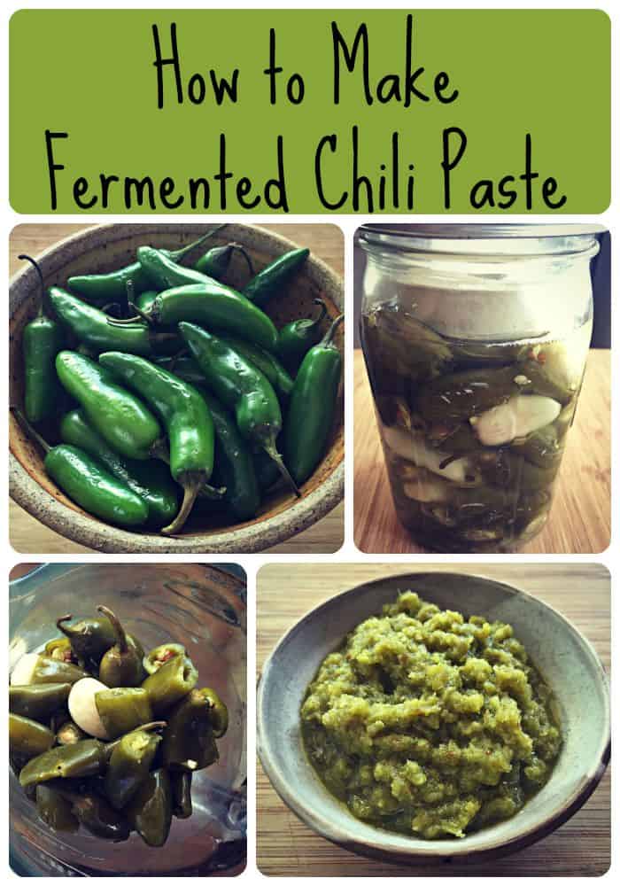 Fermented Chili Paste