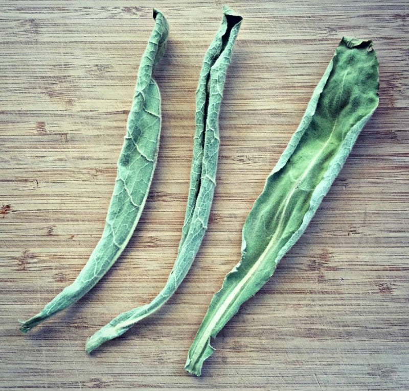 dried mullien whole leaves