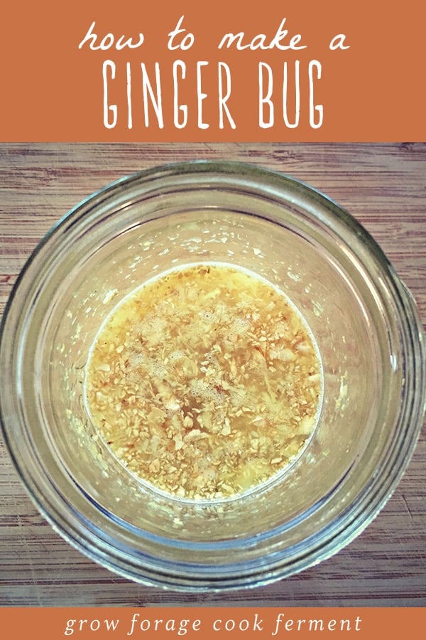 How To Make Natural Root Beer How To Make Natural Root Beer
