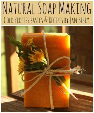 natural soap ebook