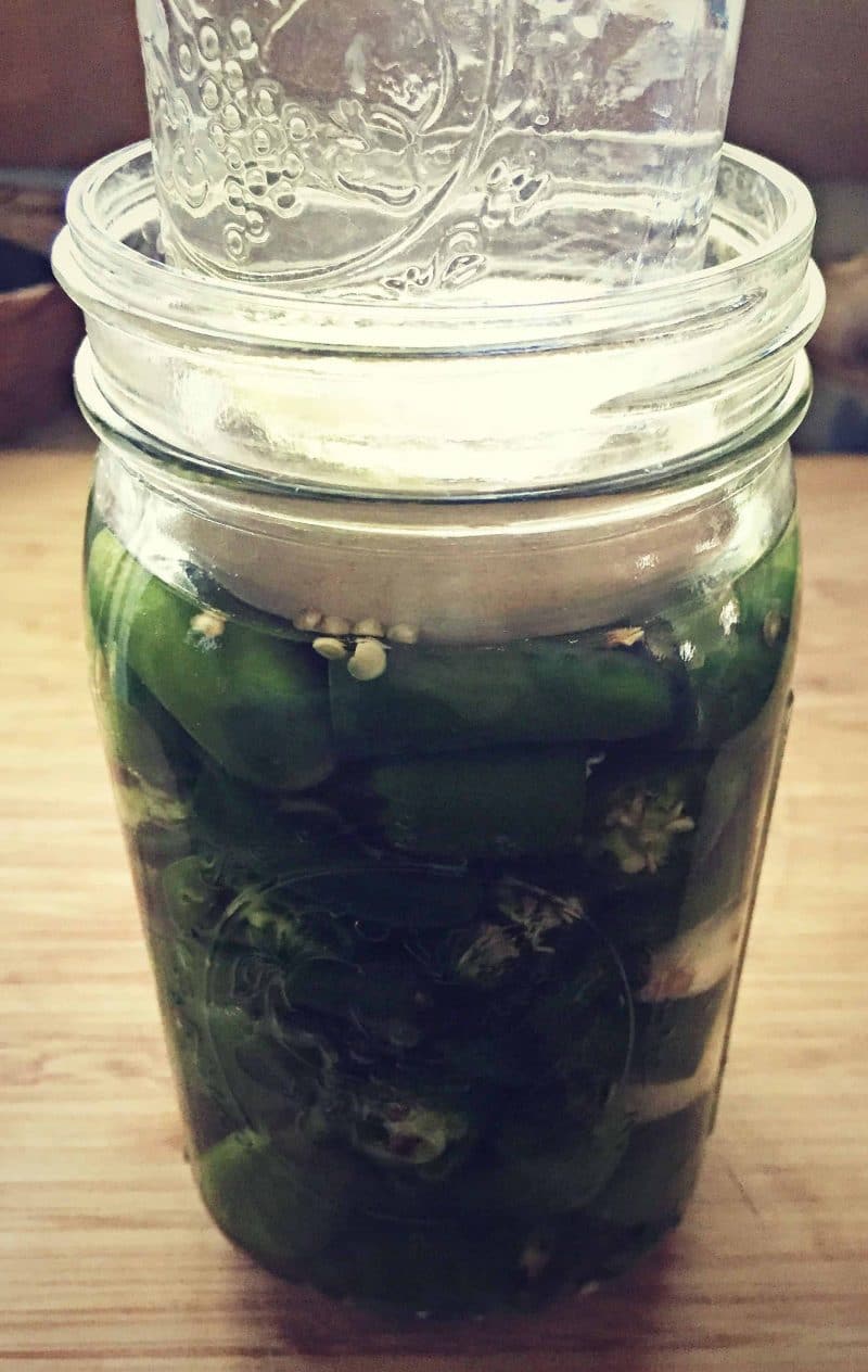 a jar of fermenting chili peppers with a smaller jar of water on top of the fermentation weight