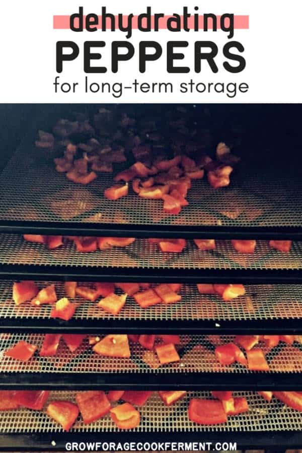 Meat Storage Using Pepper How to Dehydrate Peppers for Food Storage