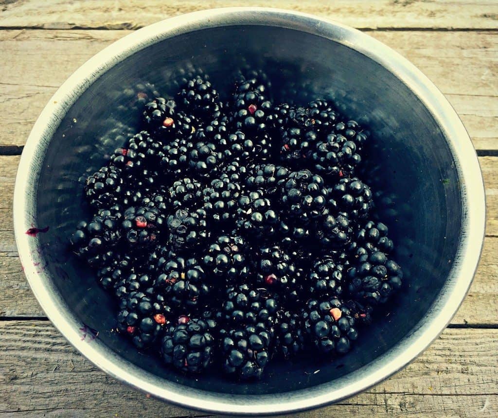 blackberry bowl