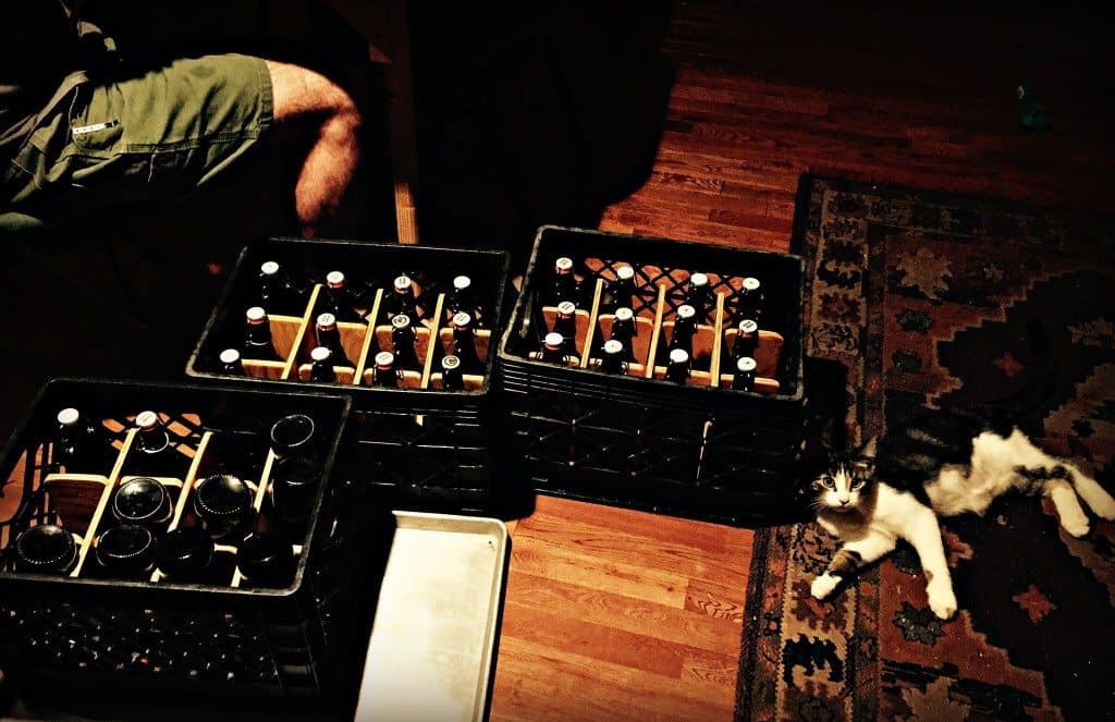 cosmo bottles