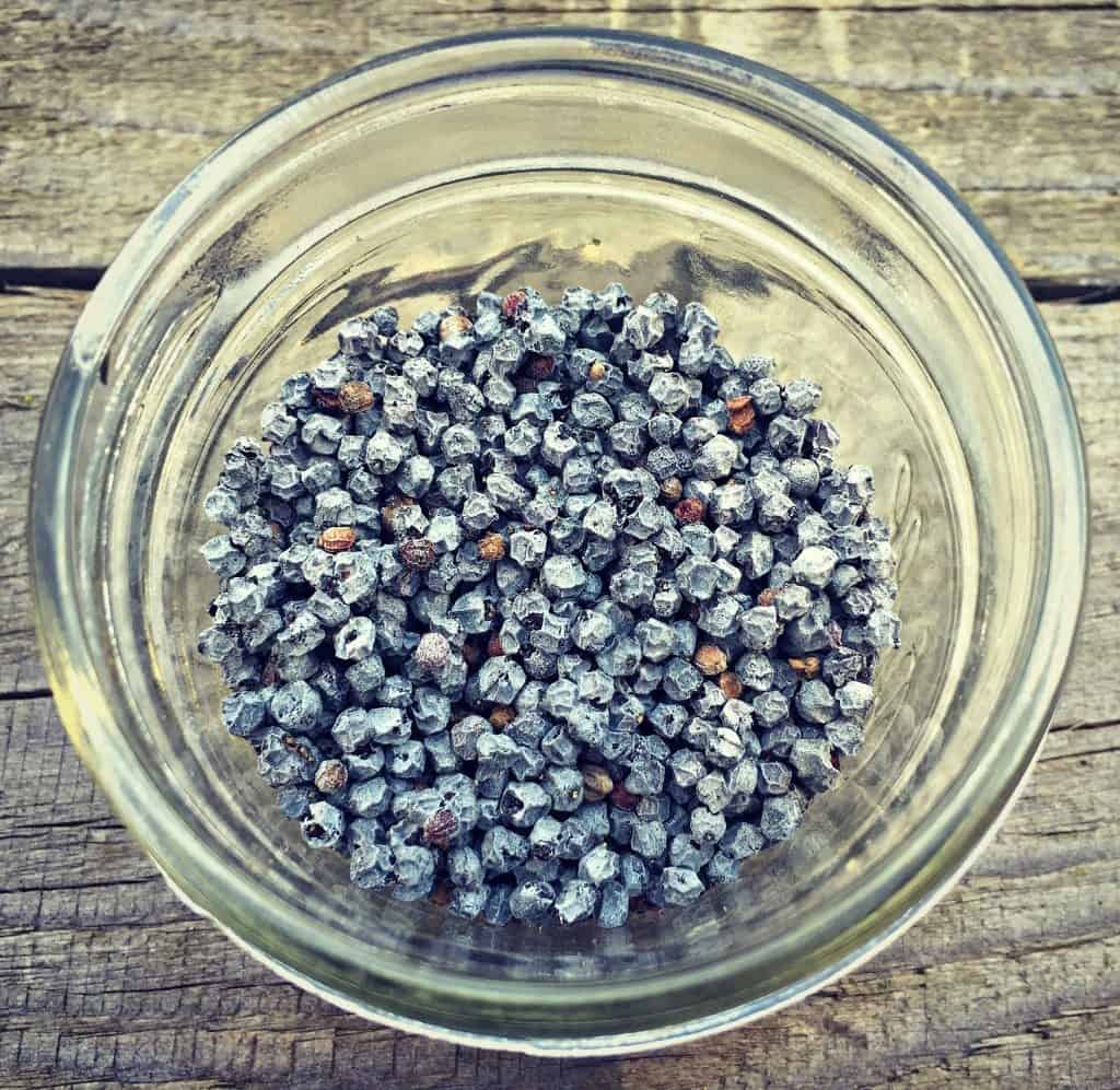 dried blue elderberries in a jar
