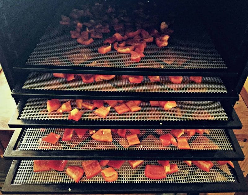 fill up dehydrator