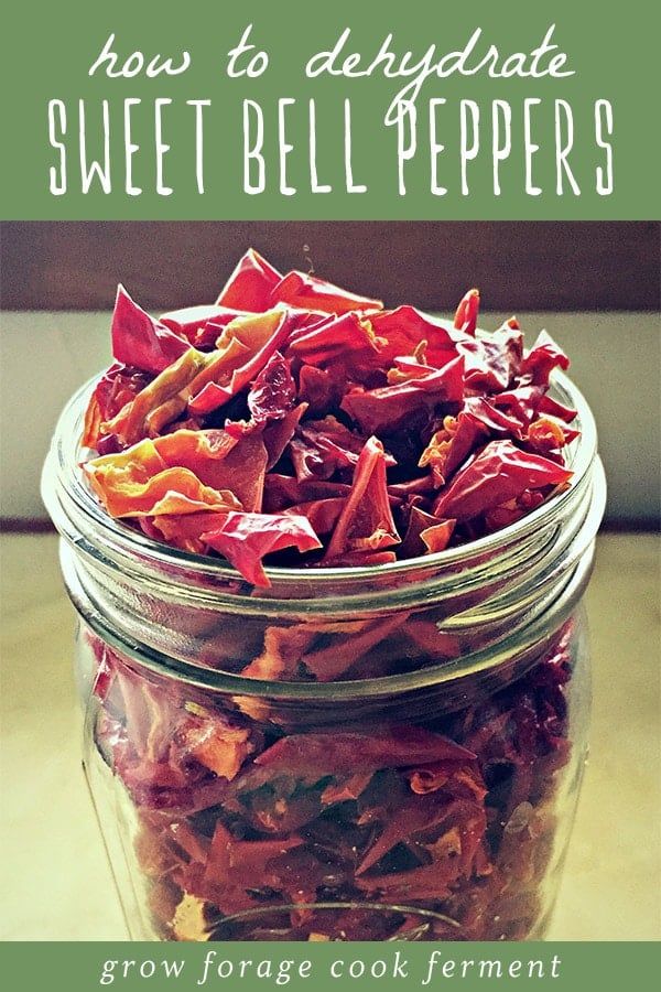 How to dehydrate your summer garden's sweet bell peppers for long-term food storage! I love dehydrating vegetables as an alternative from canning and freezing for preserving the summer harvest. Dehydrating is one of the easiest and best food storage methods while keeping all of the vitamins and minerals intact! Learn how to dehydrate peppers for food storage and my favorite ways to eat them. A glass jar of dehydrated bell peppers for food storage.