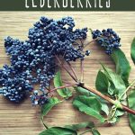 Freshly foraged elderberries on a wood background.