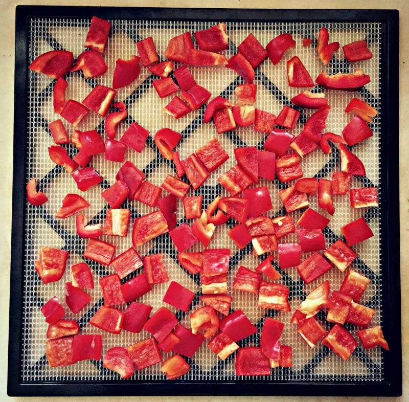 peppers on dehydrator tray