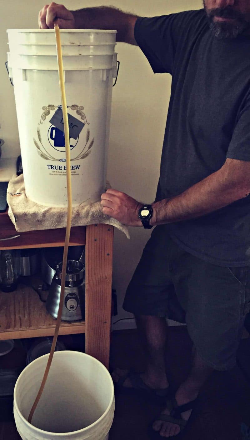 siphon beer into bottling bucket