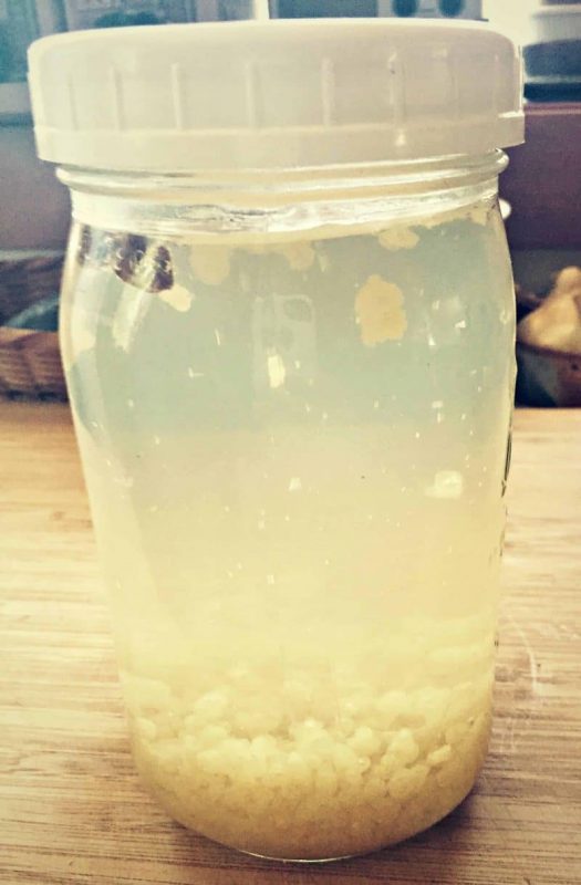 water kefir bubbling