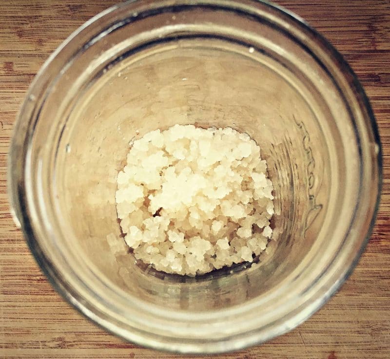 Water Kefir Grains - 3 tablespoons – The Healing Hut