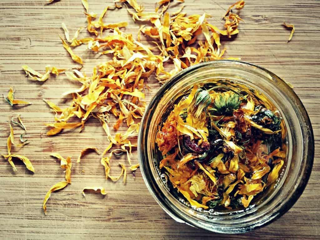 calendula infused oil