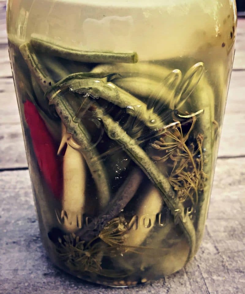 dilly beans done fermenting in a jar