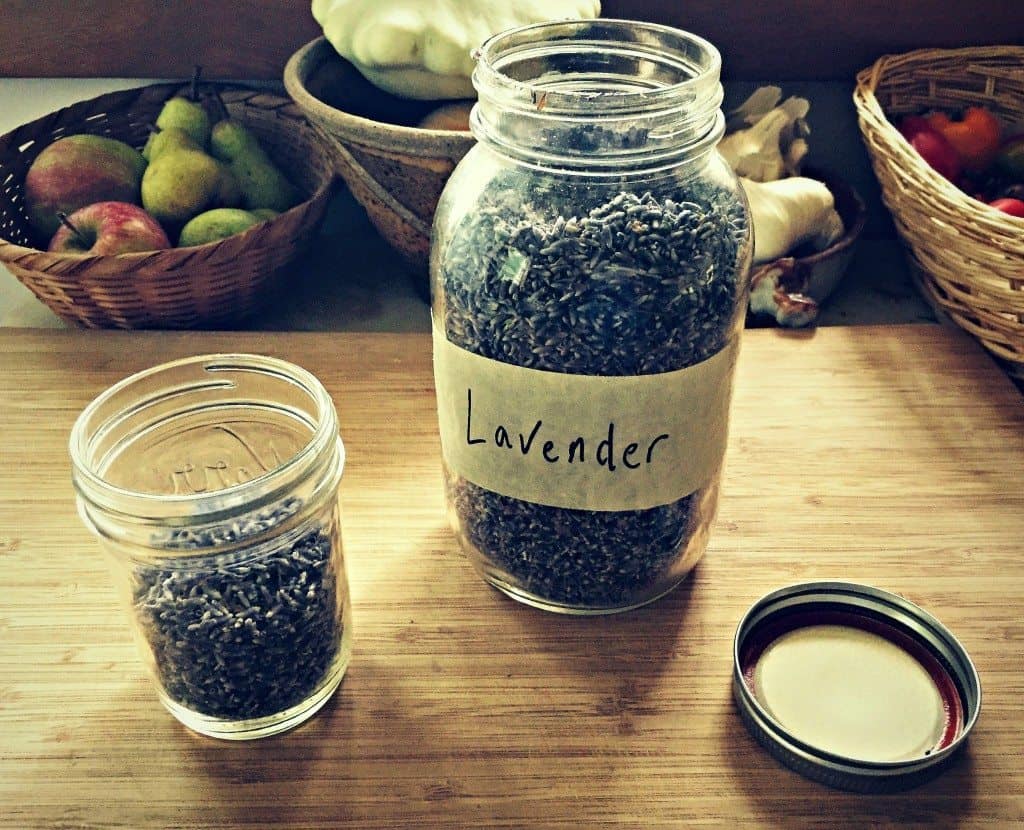10 Reasons to Grow Lavender