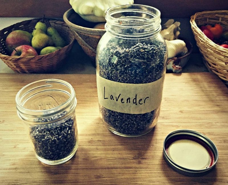 dried lavender in a jar