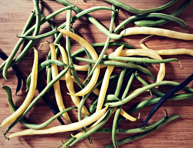 green and yellow beans