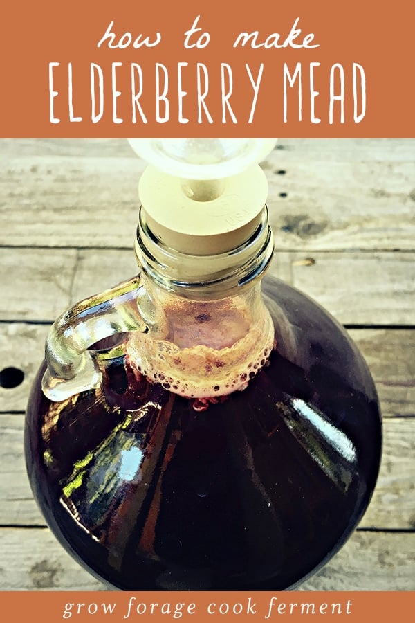 A glass one gallon jug of elderberry mead.