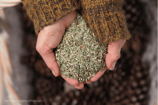 herbs in hands