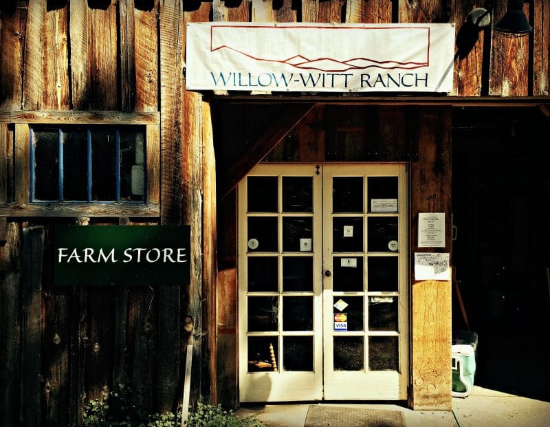 willow witt farm store