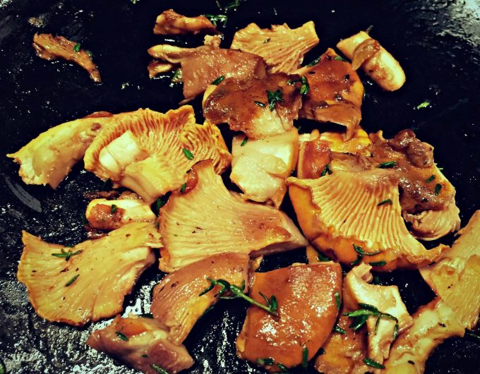 Foraging for Chanterelle Mushrooms
