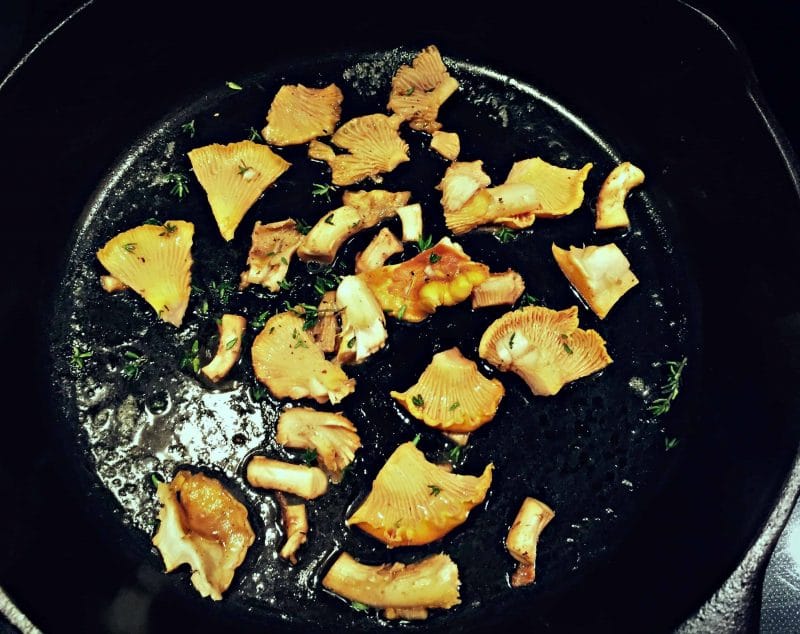 Foraging for Chanterelle Mushrooms