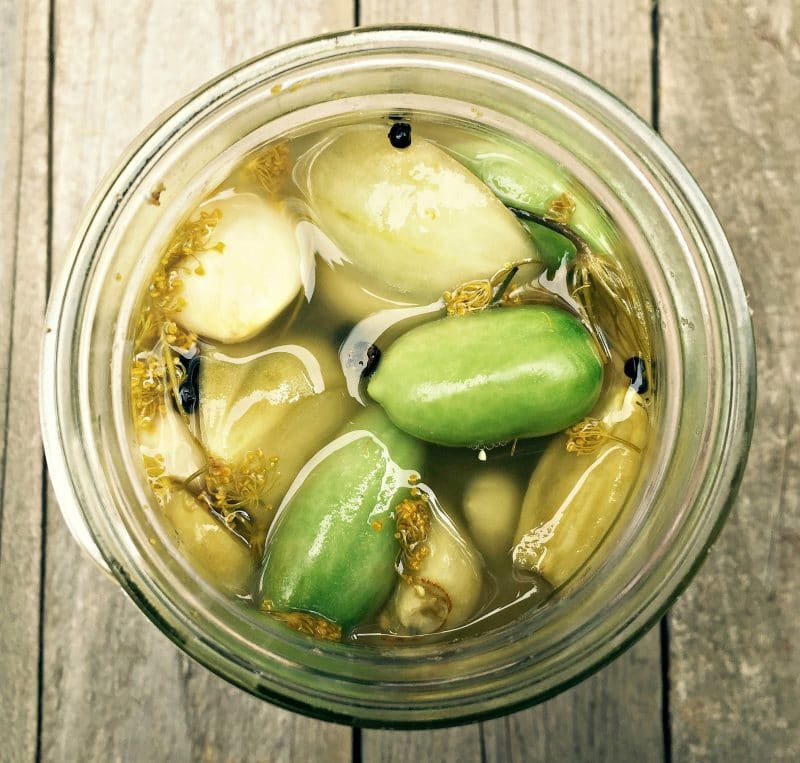  top view of lacto fermented green tomatoes in a jar