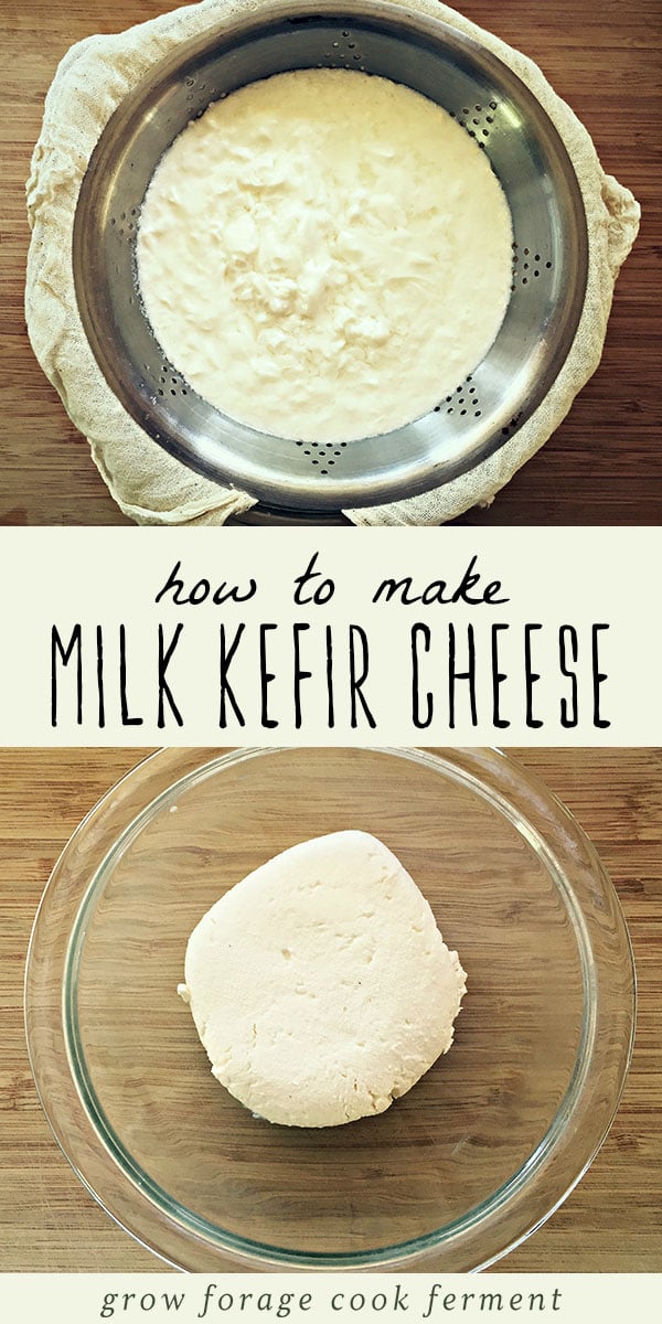 Milk Kefir Cheese is one of the easiest homemade cheeses that you can make. Kefir cheese is an easy to make, fermented and delicious soft cheese that is full of healthy probiotics! Click to get the recipe and step by step tutorial for this traditional, real food recipe. #realfood #cheese