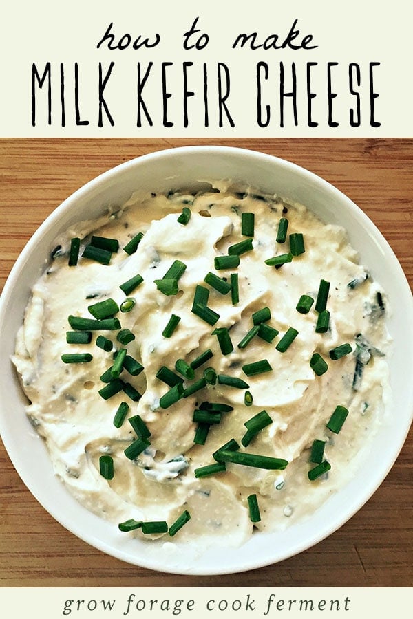 A bowl of milk kefir cheese garnished with fresh chives.