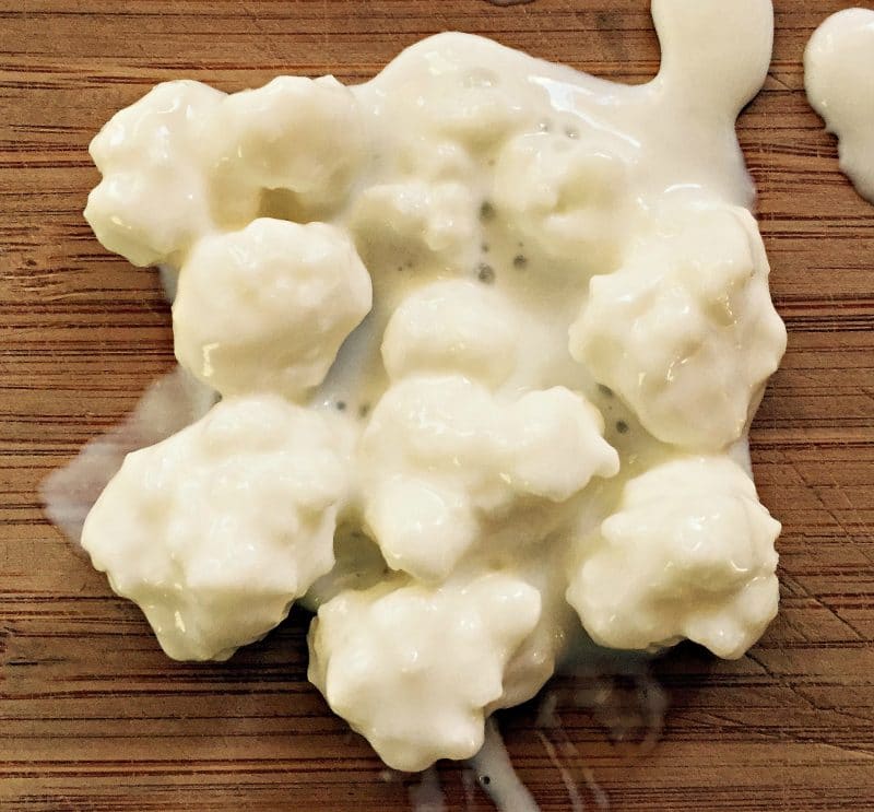 How to Make Milk Kefir Cheese