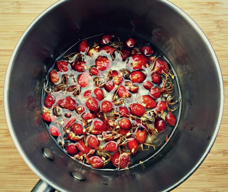 rose hips covered in water in a pan