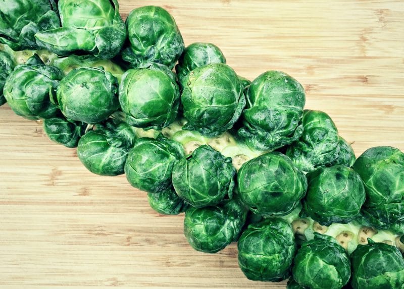 whole brussels sprout stalk