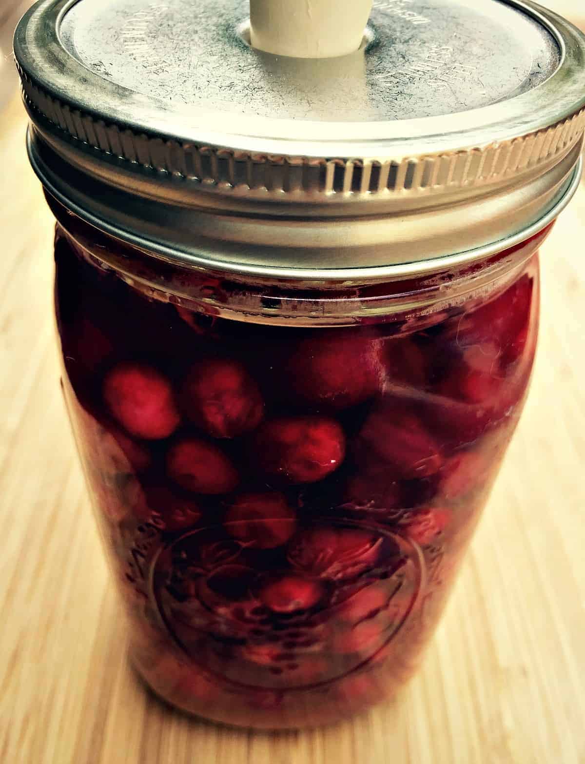 cranberries in a quart jar that are finished fermenting