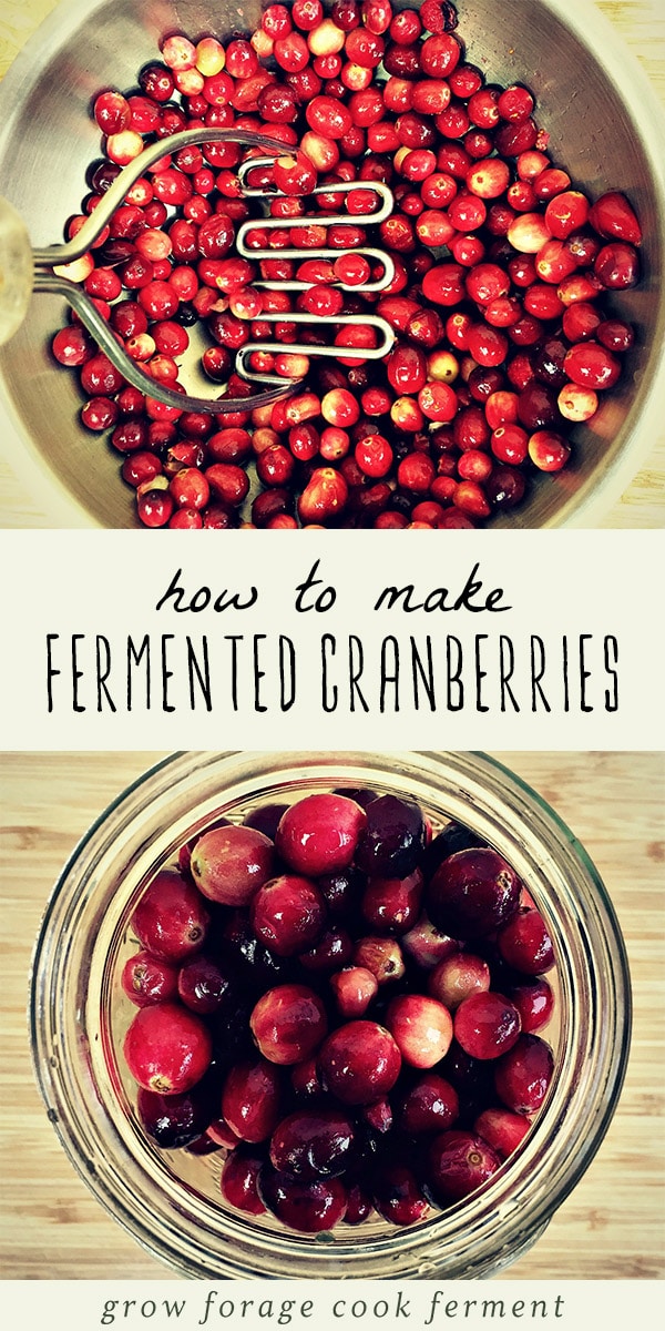 You won't want to miss this gut healing, probiotic filled fermented cranberries this holiday season. Made with fresh cranberries, orange, ginger, honey, cinnamon and cloves, this fermented cranberries is an easy and delicious fruit ferment. These cranberries are a wonderful side dish for Thanksgiving dinner - the perfect real food alternative to canned cranberry sauce! #ferment #fermented #cranberries #sidedish #thanksgiving #fall #realfood #traditionalfoods #fallrecipes