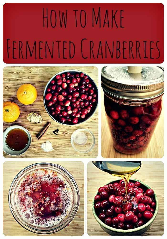 fermented cranberries collage