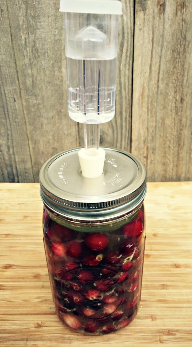 Cranberries fermenting in a jar with an airlock on top, on a wood surface. 