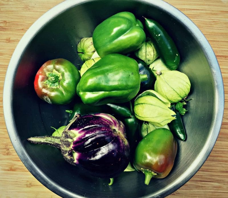 final summer harvest