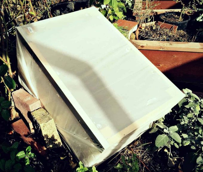 5 Ways to Protect Potted Plants in Winter